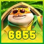 6855 Games VIP